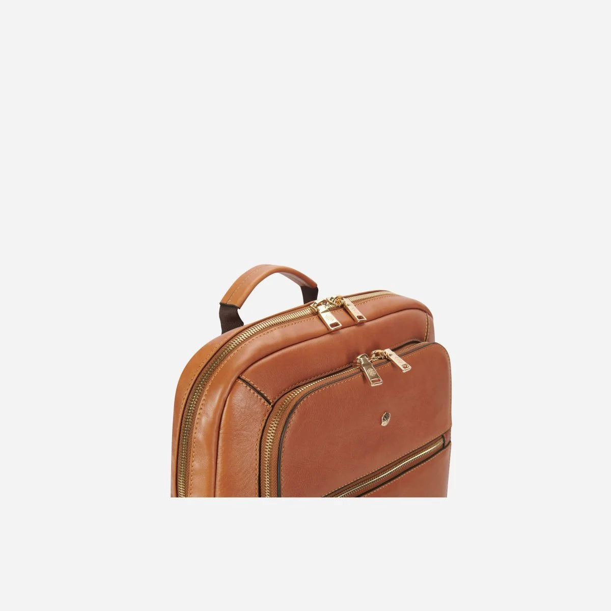 JEKYLL & HIDE PARIS LAPTOP BACKPACK